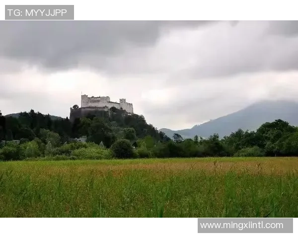 莱奥的成长之路从小镇到世界舞台的奋斗与荣耀