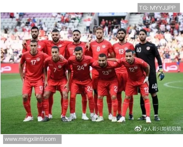 加纳与突尼斯精彩对决回放分析及比赛亮点总结